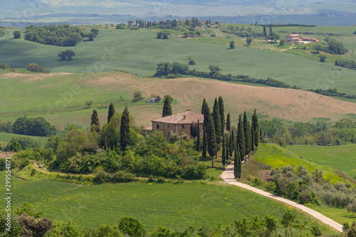 Famous Podere Belvedere in the heart of the Tuscany  near San Quirico in de Val d Orcia valley  Italy.
