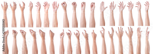 GROUP of Male asian hand gestures isolated over the white background. Soft Grab and Touch Action.
