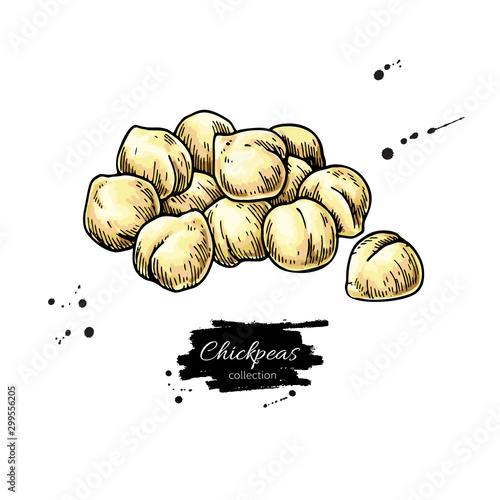 Chickpeas hand drawn vector illustration. Isolated Vegetable engraved style object.
