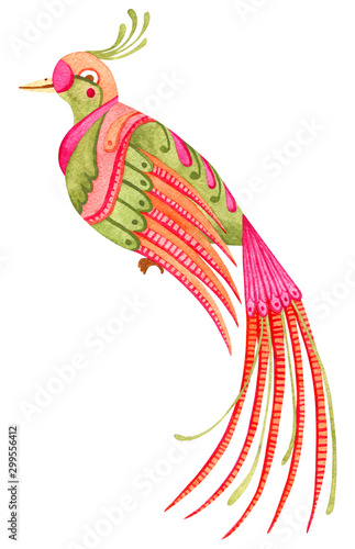 Beautiful watercolor paradise bird. Fairytale hand painted illustration. Isolated on white.