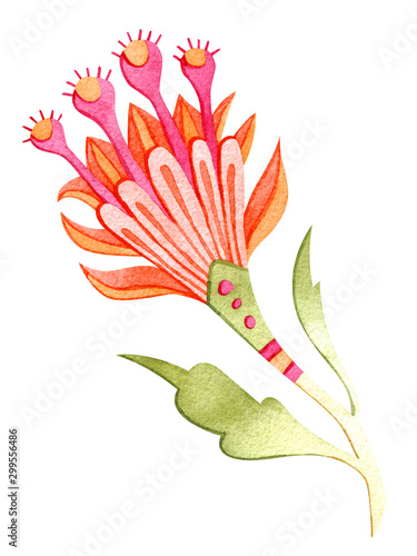 Beautiful watercolor paradise flower. Fairytale folk hand painted illustration. Isolated on white.