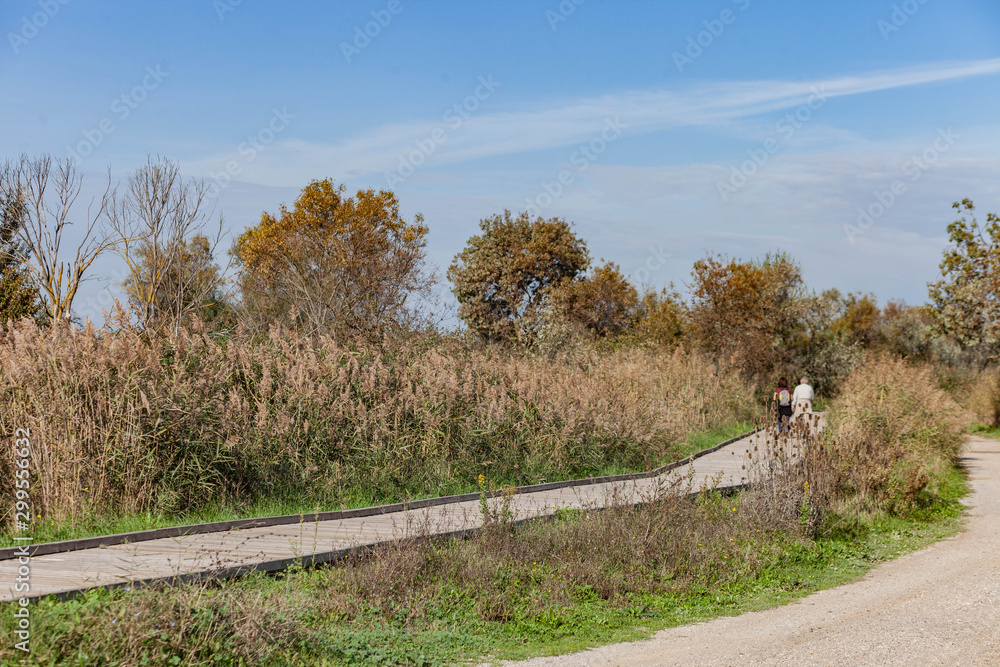 Fototapeta premium Voyage en petite Camargue