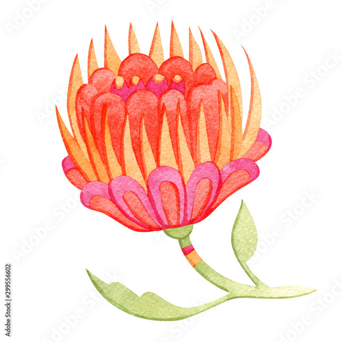 Beautiful watercolor paradise flower. Fairytale folk hand painted illustration. Isolated on white.