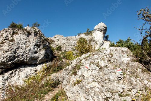 Limestone rocks in nature reserve mountain Zborow in Jura Krakowsko-Czestochowska © rparys