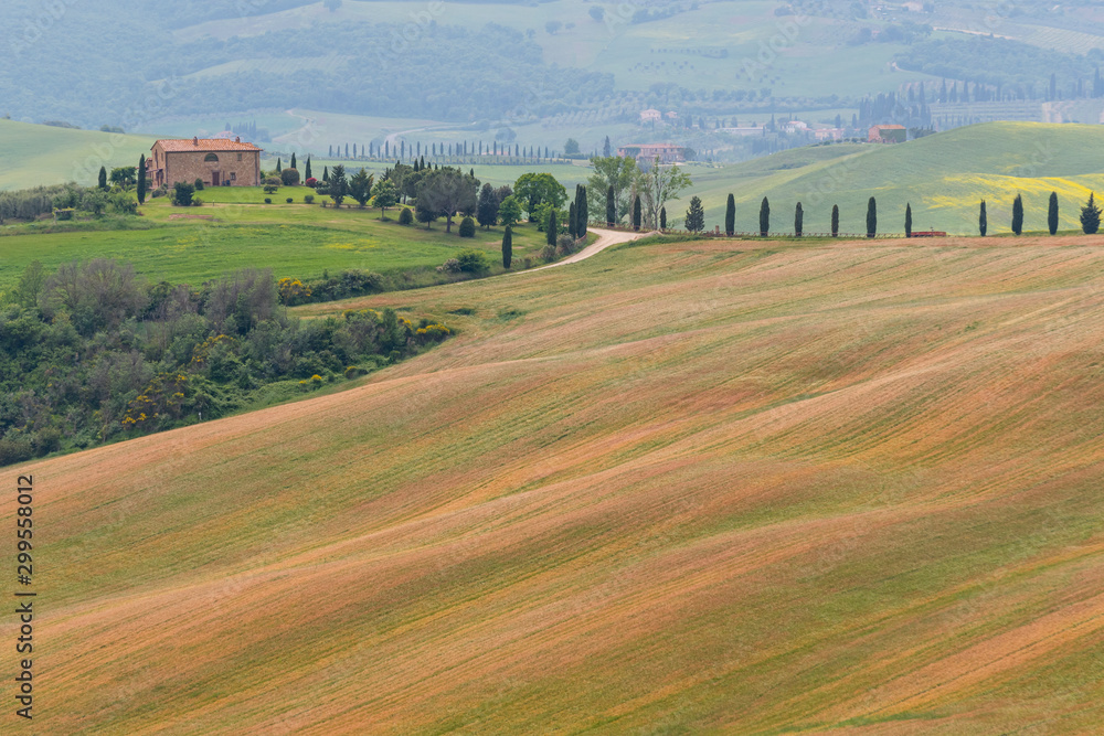Rolling hills of different colors in soft light, Tuscany, Italy.