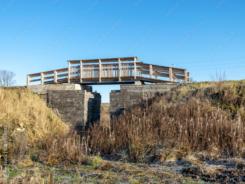 Fototapeta premium landscape with wooden bridge over the ditch