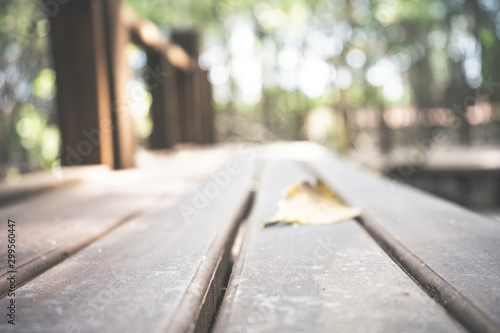 Wooden bench on blur abstract green from garden in the morning background