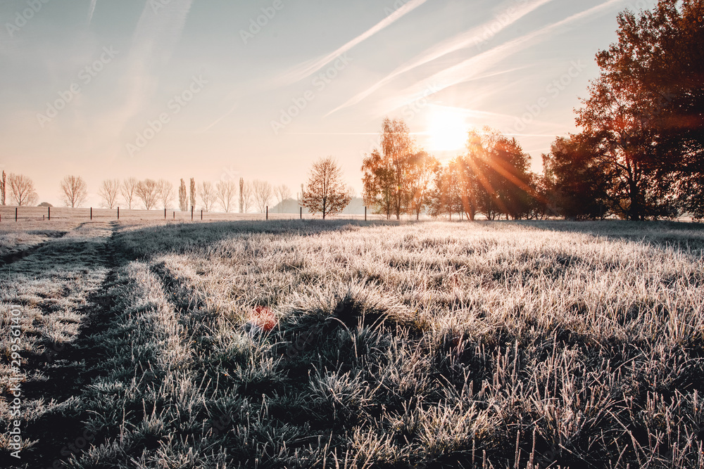 Calm and wonderful peaceful winter morning with frozen grass meadow and white nature and colorful ealry morning sunrise tones. Frosty white winter wonderland in the countryside with shadows - obrazy, fototapety, plakaty 