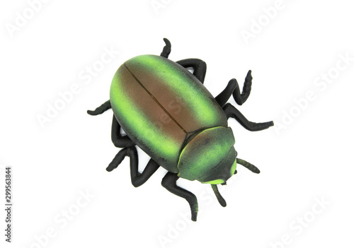 rubber beetle toy on white background