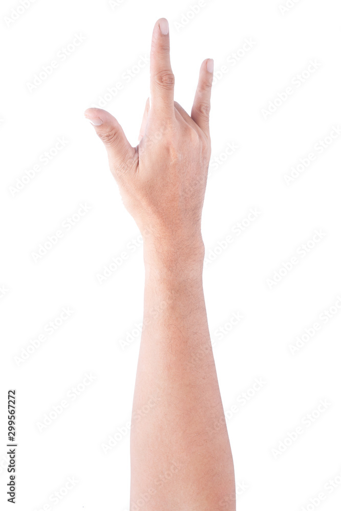 hand isolated on white background hand isolated on white background