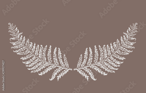 Hand drawn fern leaves plant. Symmetrically arranged two leaves of fern  resemble a mustache. Floral Black graphics on a brown background. Vector illustration of a beautiful decor of nature element.