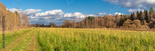 Panoramic landscape with country road, grass field and blue sky with clouds. Nature background
