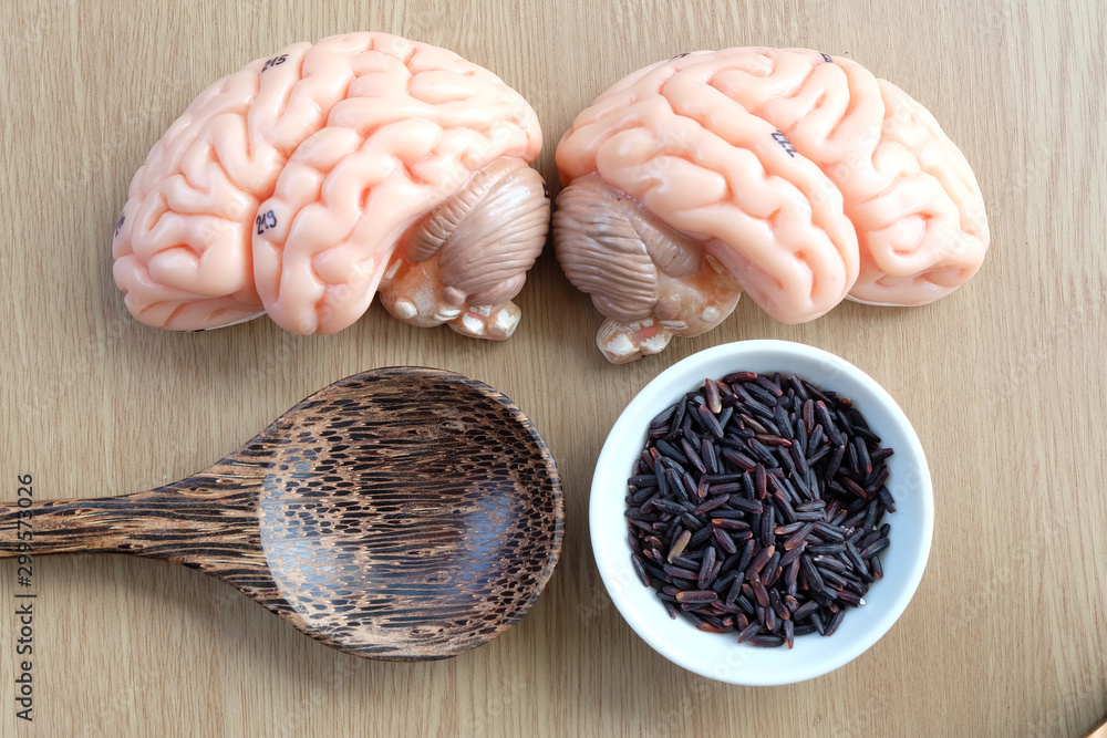 black rice and human brain anatomy