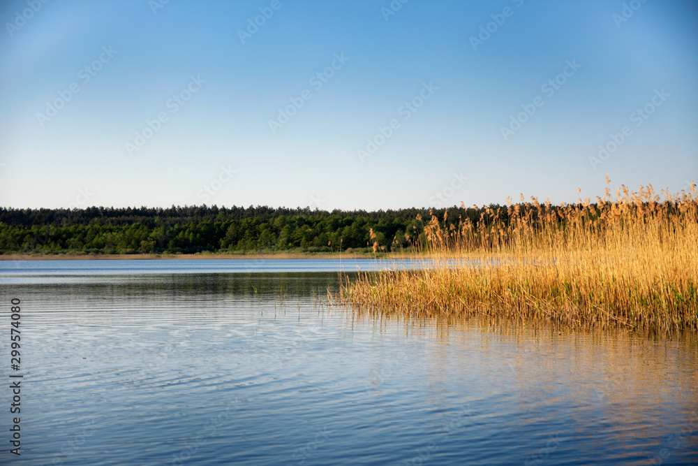 Obraz na płótnie Jezioro Roś na Mazurach w salonie