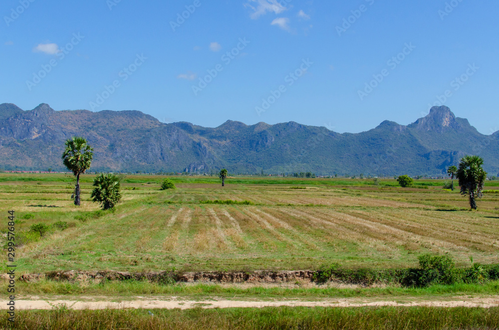 Beautiful landscape view from grass and mountain with blue sky background.