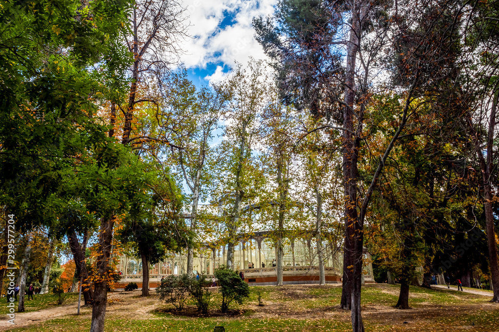 Naklejka premium OLYMPUS DIGITAL CAMERA