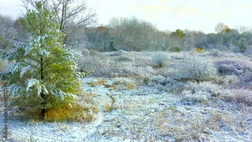 Winter wonderland, trees frosted in fresh snow, and still showing Fall colors.