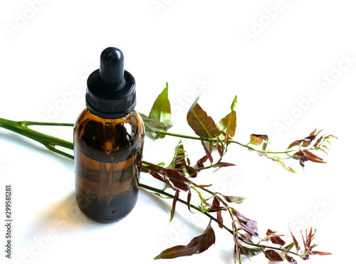 Neem herbs and essential oils, isolated on a white background.