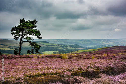 Fotografie NOrth York Moors