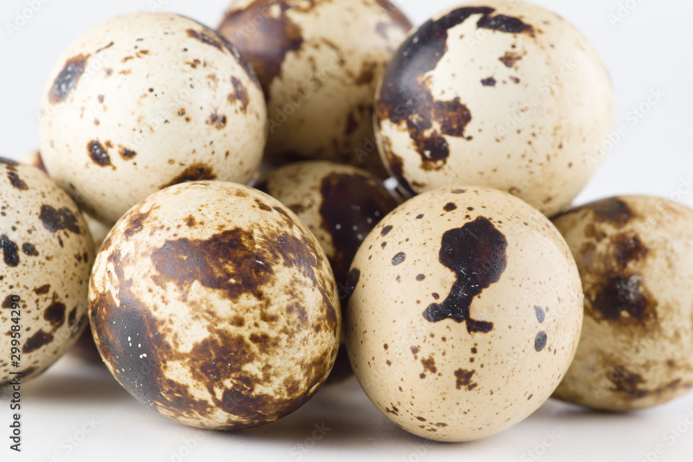 quail eggs isolated on white background quail eggs isolated on white background