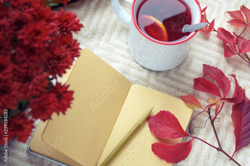 Autumn, fruit tea, red chrysanthemum and a notepad with blank sheets on a warm blanket. Hygge concept. Loneliness and autumn melancholy. Depression. © Лариса Люндовская