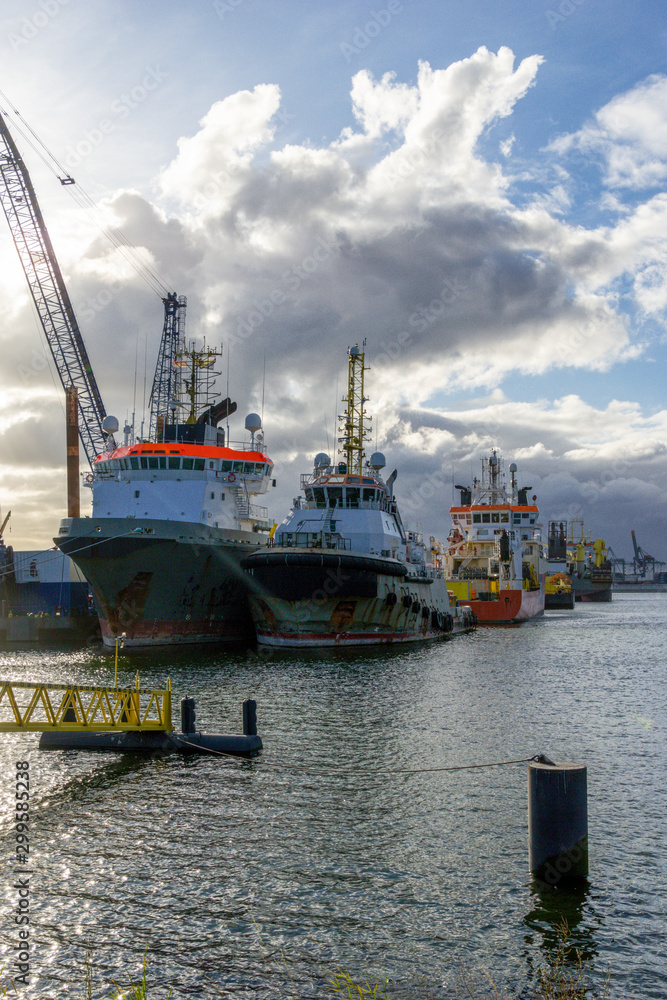 Evening view of the port of Rotterdam, with ships and cranes, in portrait format.