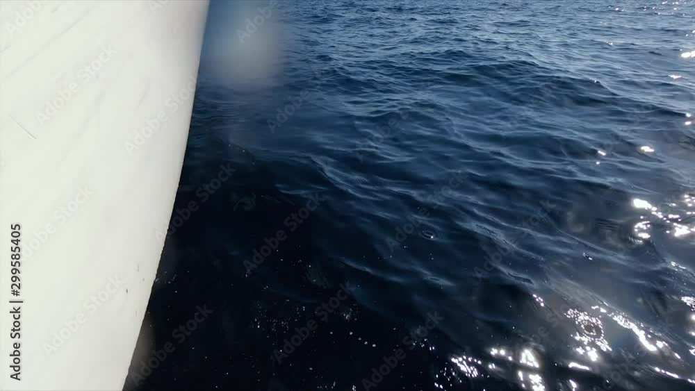 Speed boat trip in the Mediterranean Sea on a sunny day. Excursion along the coast by water transport. Travel and outdoor activities Speed boat trip in the Mediterranean Sea on a sunny day. Excursion along the coast by water transport. Travel and outdoor activities