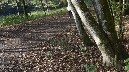 bois foret environnement promeneur balade automne photo