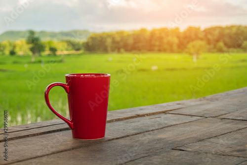 cup on green background