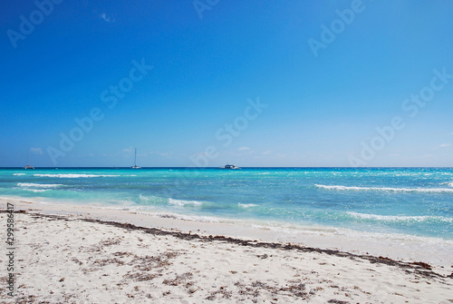 Wave on the sandy beach. The turquoise sea. palm beach. Vacation Concept