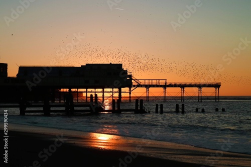 aberystwyth starling cloud sunset