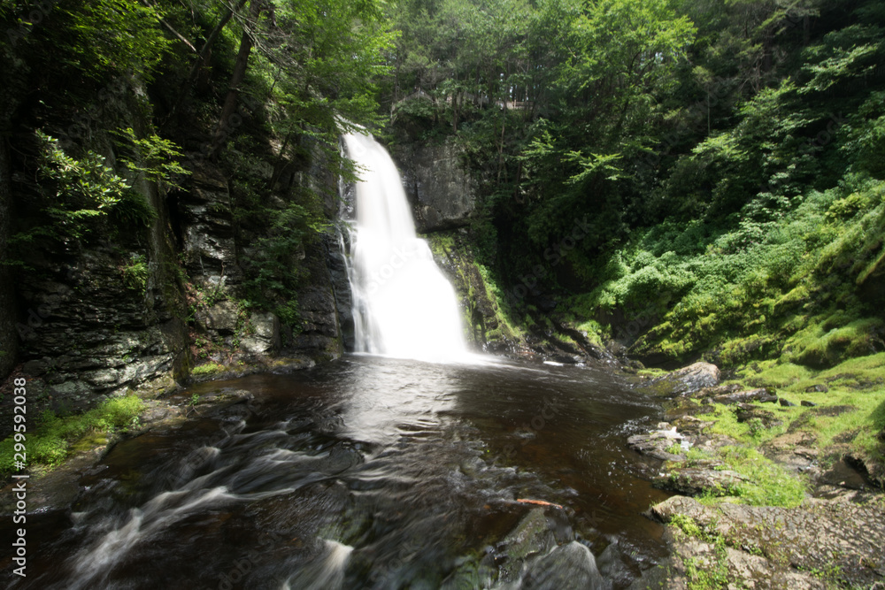 Fototapeta premium waterfall in forest