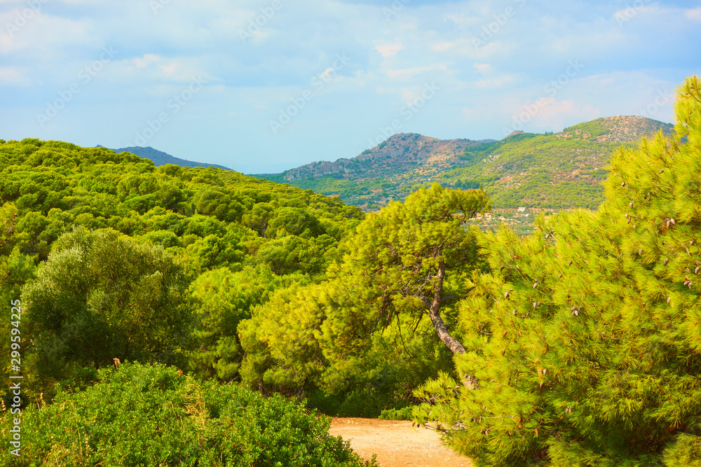 Obraz premium Landscape of Aegina Island