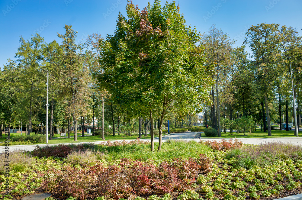 Green alleys in Luzhniki, Moscow