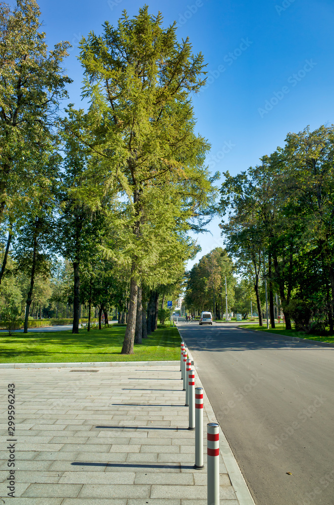 Green alleys in Luzhniki, Moscow