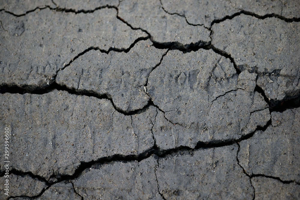 Obraz premium dry cracked earth