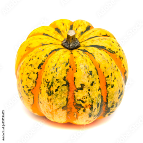 ornamental pumpkin on white