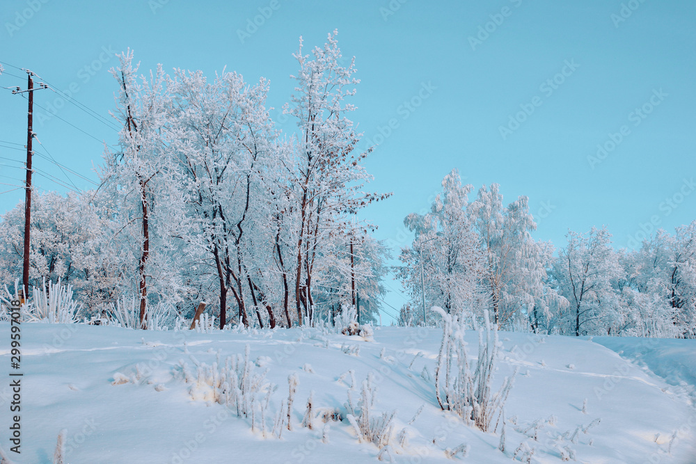 beautiful winter landscape trees in snow evening beautiful winter landscape trees in snow evening