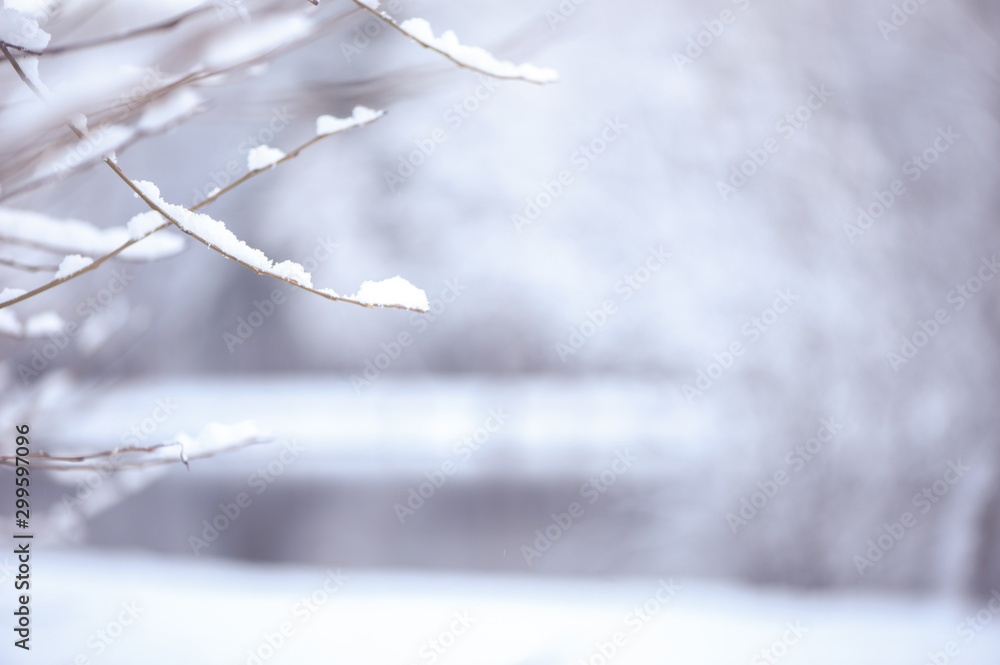 Winter blurred  background, with space for text. Tree branches covered with snow against the background of a blurry lake