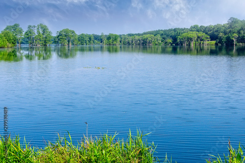 Piney Z Lake in Tallahassee, Florida
