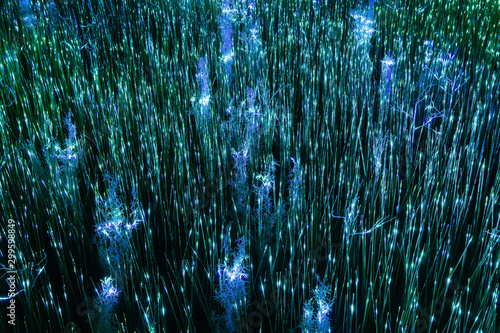 фотографія abstract background, dry grass illuminated by magic light