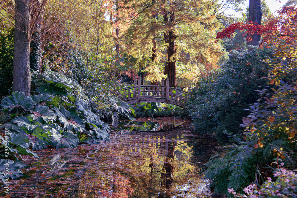 autumn in the park