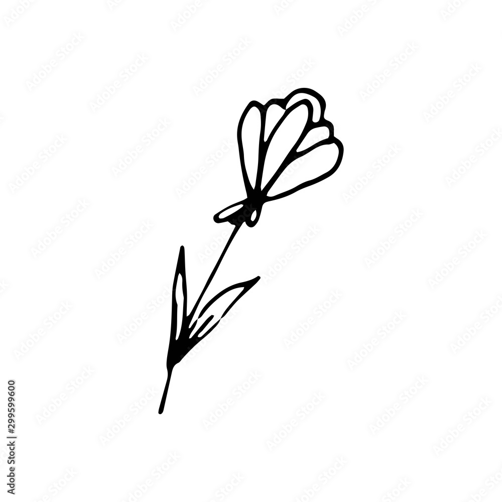 Cute single hand drawn floral elements. Doodle vector illustration for wedding design, logo and greeting card. Cute single hand drawn floral elements. Doodle vector illustration for wedding design, logo and greeting card.