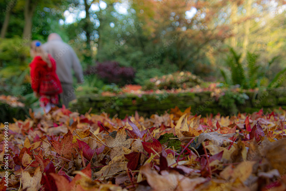 autumn leaves in park, beautiful garden in autumn, silhouettes of two people in the background