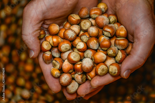 handful of hazelnuts