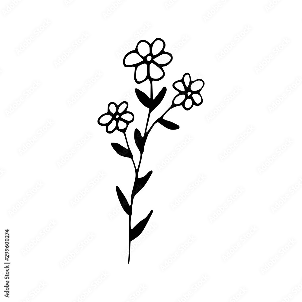 Fototapeta premium Cute single hand drawn floral elements. Doodle vector illustration for wedding design, logo and greeting card.