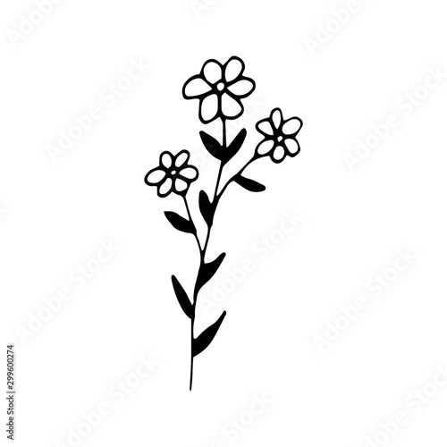 Cute single hand drawn floral elements. Doodle vector illustration for wedding design  logo and greeting card.