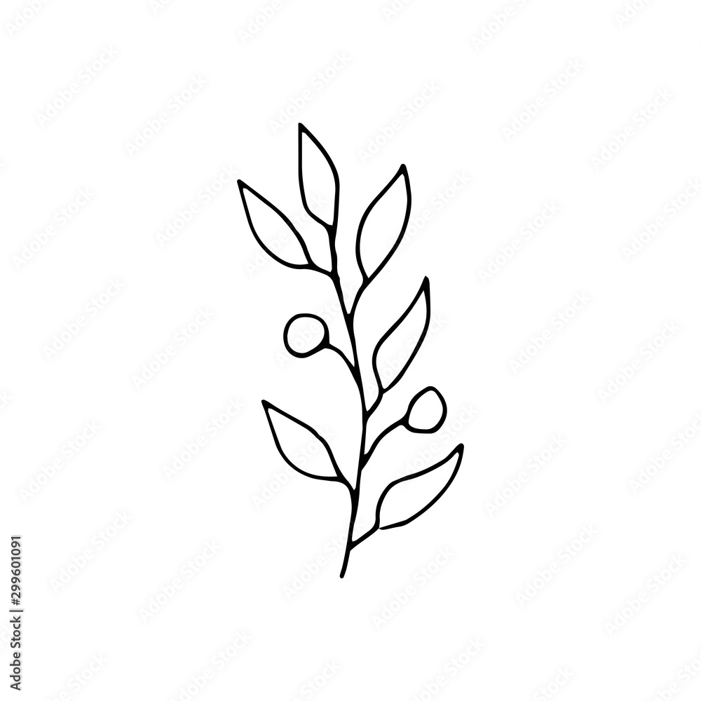 Cute single hand drawn floral elements. Doodle vector illustration for wedding design, logo and greeting card.