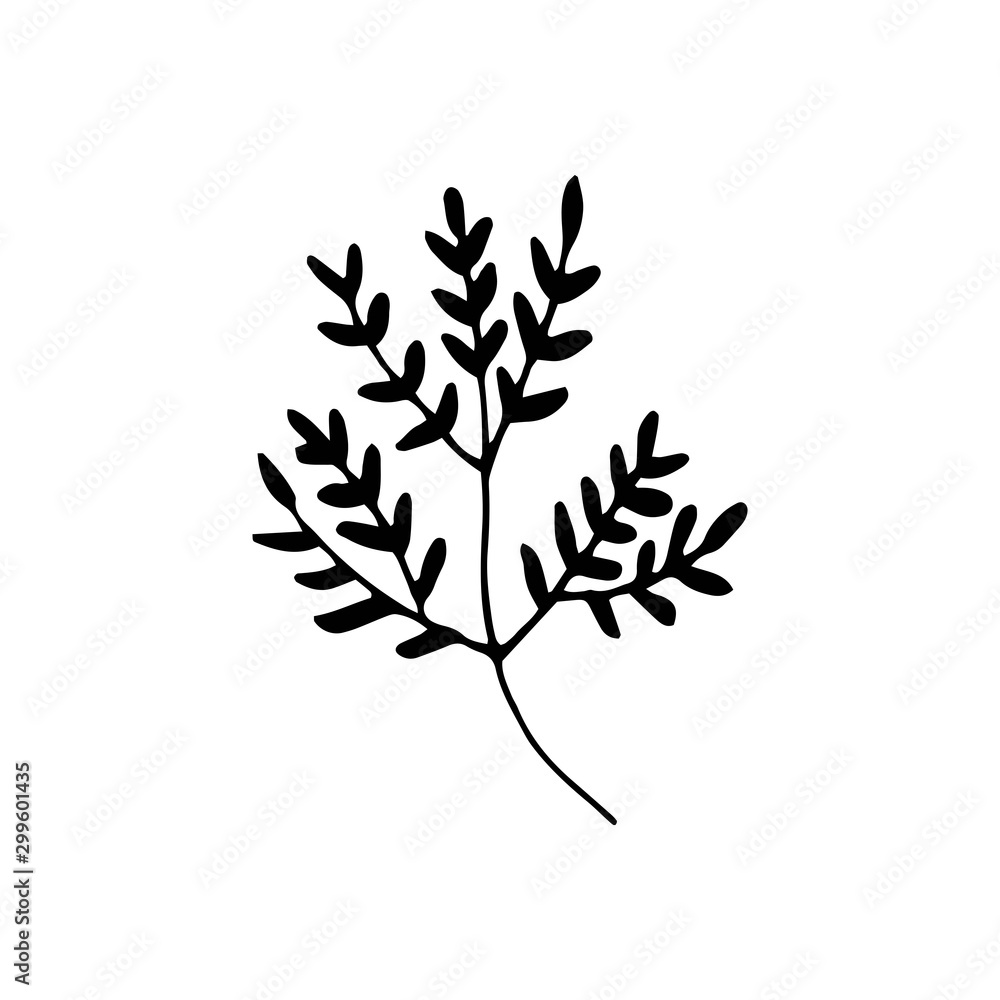 Fototapeta premium Cute single hand drawn floral elements. Doodle vector illustration for wedding design, logo and greeting card.