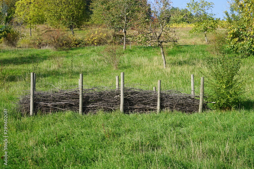 Sammelstelle für Altholz auf einer Wiese Sammelstelle für Altholz auf einer Wiese